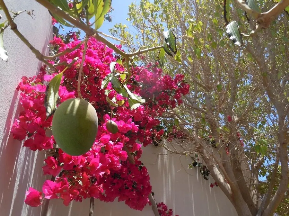 Casa Mango - Las Coloradas - Playa Blanca Villa Playa Blanca (Lanzarote)